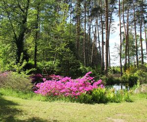 Magiczne miejsce godzinę drogi od Wrocławia. Niewielu turystów tu trafia 
