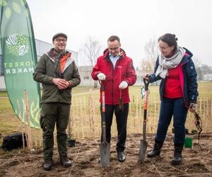 Zasadzili nowy las w Rybniku. I to w centrum zabudowy. Las Miyawaki wyrośnie nawet 3 razy szybciej