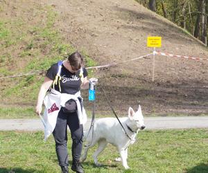 Dogtrekking w Poznaniu