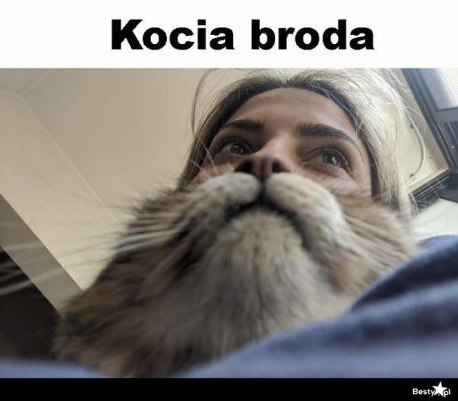 Memy o brodzie z okazji Światowego Dnia Brody