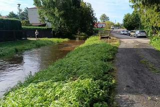 Zamość. Potężna ulewa sparaliżowała miasto. Rekordowe opady. Ulice jak rwące potoki