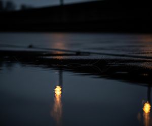 Masowa śmierć ptaków w Warszawie. Jaki jest przerażający powód?