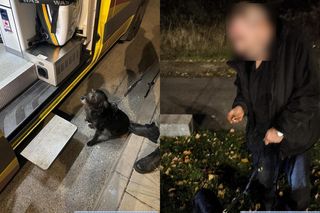 Pies uratował właściciela. Niezwykły finał poszukiwań zaginionego mieszkańca Wrocławia