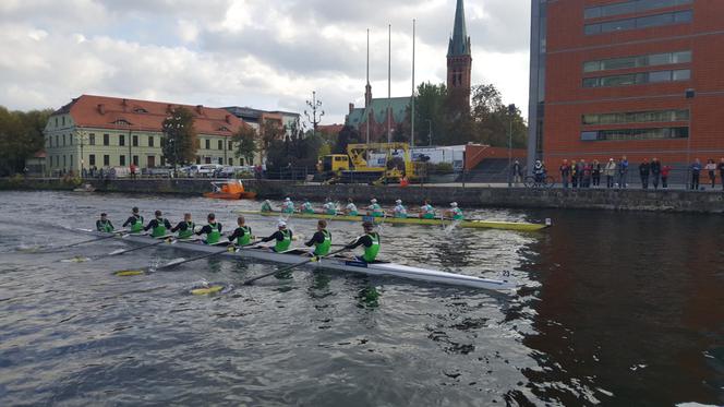 Wielka Wioślarska 2019 w Bydgoszczy 