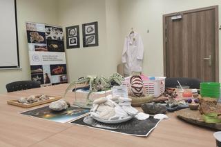 Muzeum Geologiczne US