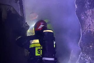 Po pożarze przy Gagarina w Toruniu