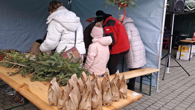 Udekorowana choinka stanęła na środku rzeki w Kaliszu