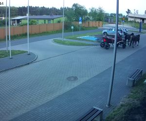 Poddębice. Wóz konny na parkingu komendy. Kierowca nietrzeźwy i z dożywotnim zakazem [ZDJĘCIA]. 