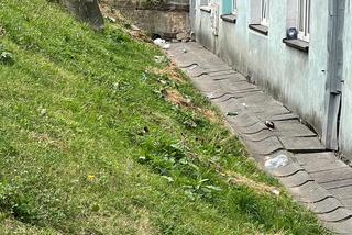 Jastrzębie-Zdrój. 3-latek wypadł z okna! Ojciec i jego partnerka byli pijani?!