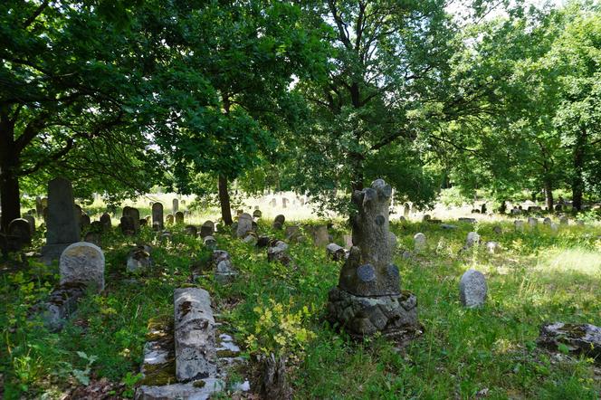 Zabytkowy cmentarz żydowski z XIX wieku w Białymstoku. Ostatnia taka ocalała nekropolia w mieście