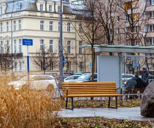 Zielona Marszałkowska między placem Bankowym a ul. Królewską