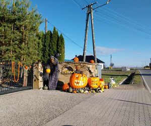 U Łukasza z Pawłowa hasło cukierek albo psikus nabiera innego wymiaru. Najbardziej halloweenowy dom świętokrzyskiego