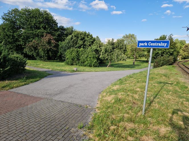 Park Centralny przed wielką zmianą! Zobacz, gdzie powstanie kąpielisko