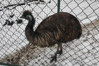 ZOO Toruń zaprasza!