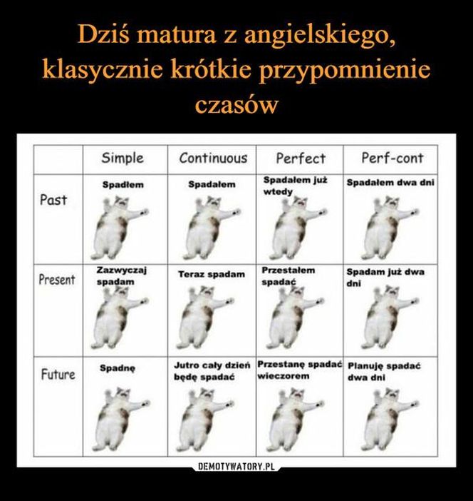 Memy o maturze