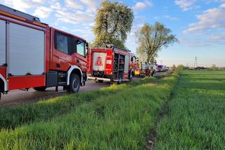 Śmiertelny wypadek pod Chełmżą! 32-latek z audi nie przeżył zderzenia z fordem [ZDJĘCIA]. 