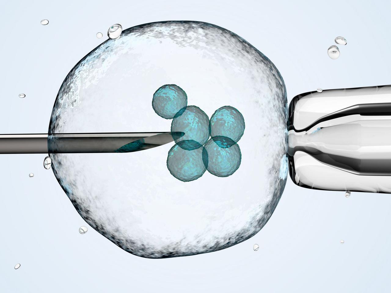 Wszystko o IN VITRO, przyczynach i diagnostyce niepłodności