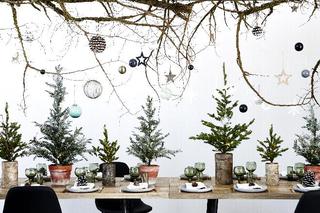 Dekoracje stołu na Boże Narodzenie: jak ozdobić stół na święta? [INSPIRACJE]