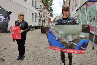 Fundacja VIVA protestuje w Lesznie