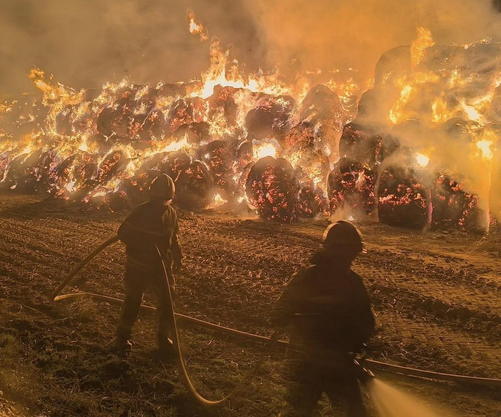 Pożar na polu. Spłonęło 1000 balotów słomy