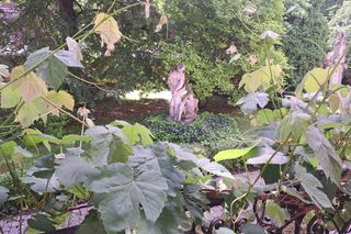 Ogród przy pałacu Czapskich w Krakowie