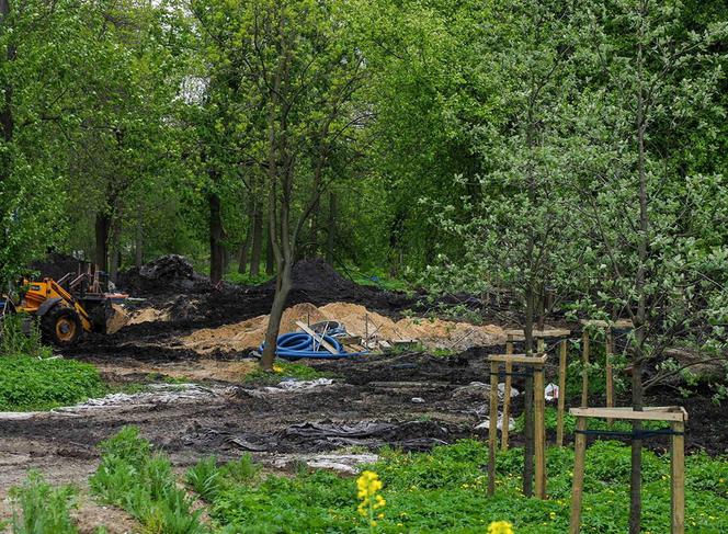 Park Ludowy pięknieje z dnia na dzień. To naprawdę robi wrażenie