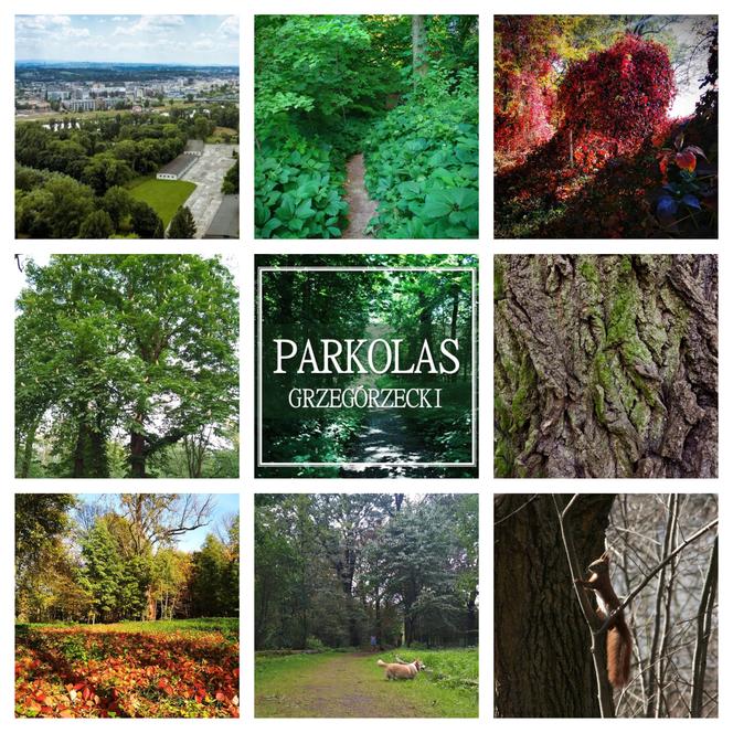 Parkolas Park Grzegórzecki