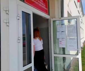 Wybory prezydenckie 2025. Tak głosują Polacy