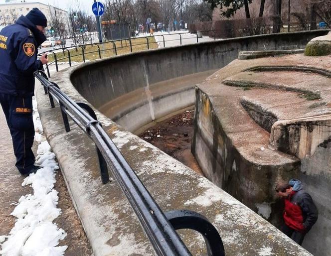 Szokujący incydent w Warszawie. Mężczyzna wpadł do wybiegu dla niedźwiedzi