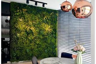 Zielona ściana w mieszkaniu