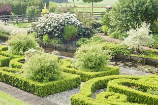 Ogród  w stylu holenderskim - cechy charakterystyczne ogrodu holenderskiego