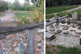 Drzewo runęło na lapidarium w Starym Fordonie. Zapytaliśmy miasto o stan pozostałych drzew na ul. Cechowej