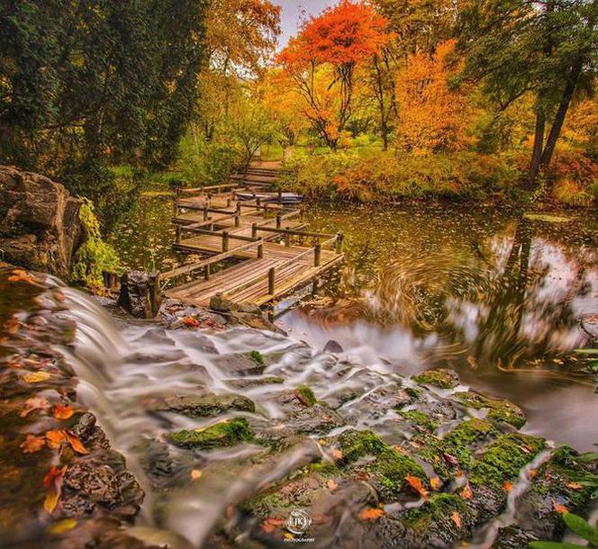 Ogród Botaniczny Uniwersytetu Wrocławskiego