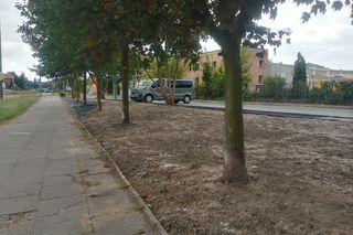 Park kieszonkowy w Siedlcach