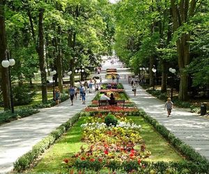 Park Zdrojowy, czyli oaza spokoju w sercu Polanicy 