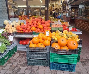 Ceny dyni 2025 na Nowym Kleparzu i Starym Kleparzu w Krakowie