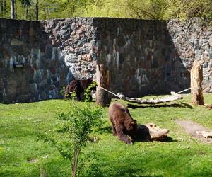 Wiosna w Zoo Akcent w Białymstoku