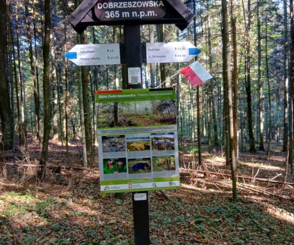 Góra Dobrzeszowska w Świętokrzyskiem