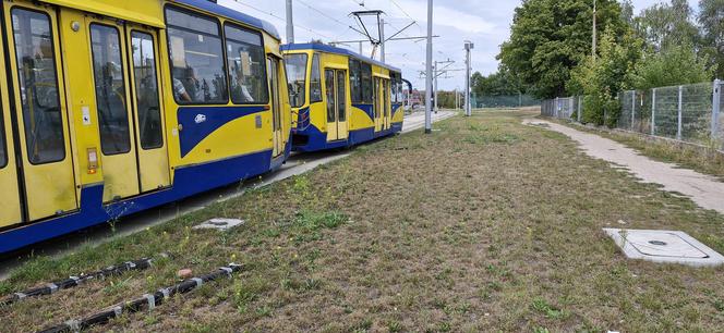 Tory prowadzą na trawnik. Taki widok przy ul. Legionów w Toruniu