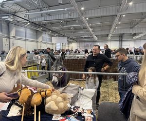 ZooPark w Lublinie. Dzień drugi