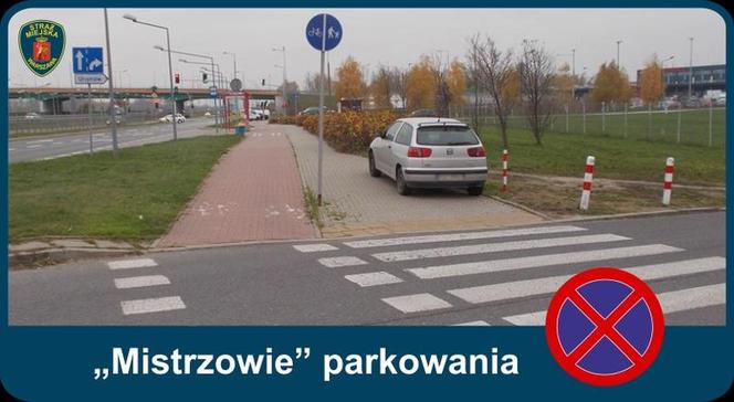 Warszawscy mistrzowie parkowania w listopadzie 2020