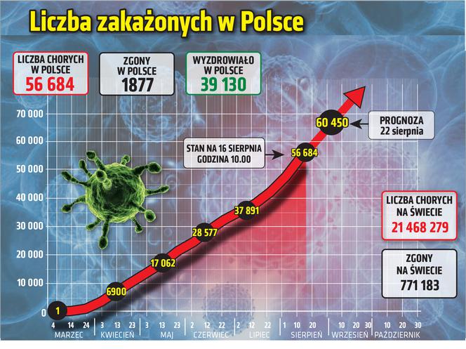 Koronawirus w Polsce. Wykresy i mapy: 16.08.2020