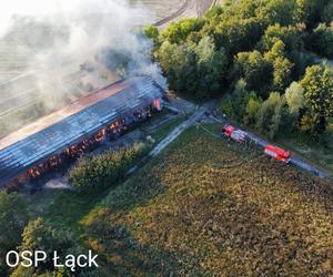 Pożar w Stadzie Ogierów w Łącku pod Płockiem