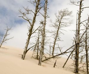 Ruchome wydmy w zimowej szacie. Tak Bałtyk zaskakuje poza sezonem!