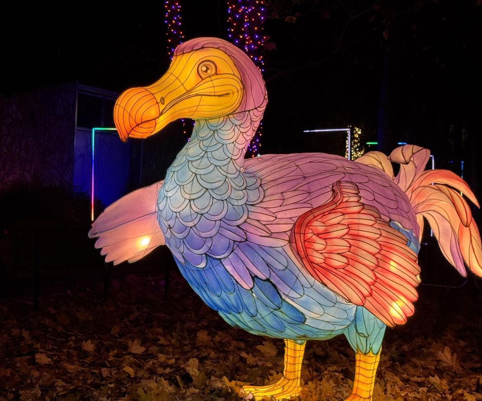 Ogród Świateł. Dzika Ameryka w ZOO Wrocław