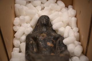 „Magia starożytnego Egiptu” już dziś w Lublinie! Zobacz zdjęcie z przygotowań do wystawy