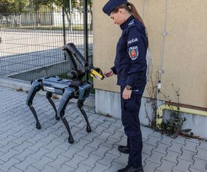 Ma cztery łapy, stalowe serce i właśnie podał łapę policjantowi. „Robopies” nowym hitem w służbach