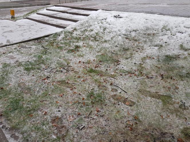 Gołoledź, marznące opady i oblodzone chodniki. Tak wyglądał poranek na drogach w Białymstoku