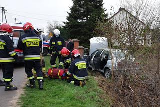 Wjechał w ogrodzenie posesji w Brodach. Poszkodowany kierowca trafił do szpitala [ZDJECIA]