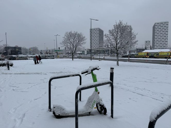 Śnieżny armagedon w Warszawie. Pierwszy atak zimy sparaliżował stolicę. Ogłoszono akcję ALFA